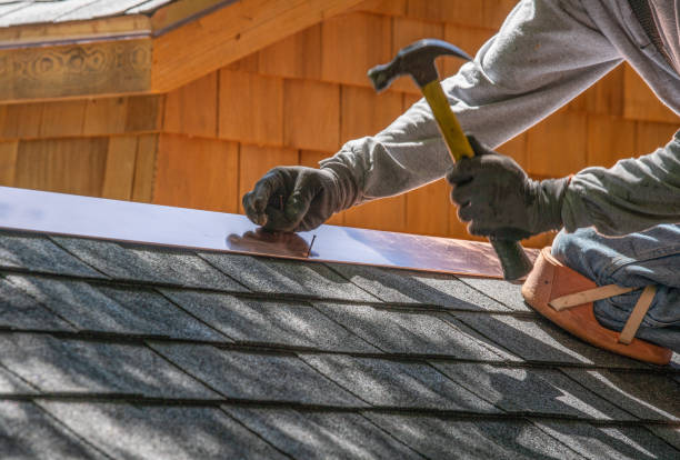 Best Chimney Flashing Repair  in Las Lomas, TX