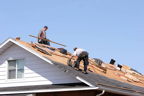 Professional Roofing services in Las Lomas, TX