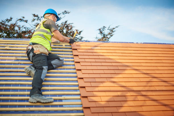 Best Skylight Installation and Repair  in Las Lomas, TX